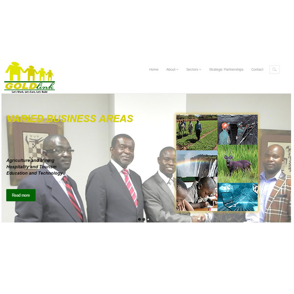 Website development and hosting, and domain registration for Goldlink Equities Ltd., Lusaka, Zambia