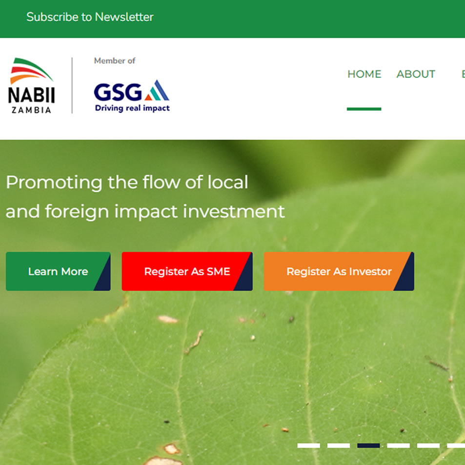 Website design for National Advisory Board for Impact Investment Zambia, Lusaka, Zambia