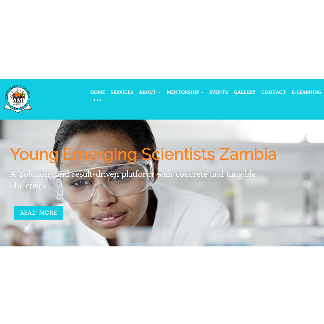 Website design for Young Emerging Scientists Zambia, Lusaka, Zambia